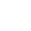 <p>Contributes to normal mental performance   </p>