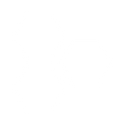 <p>Role in the process of cell division  </p>