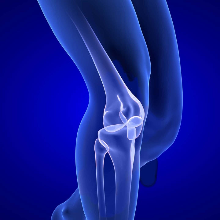 Revive Active Joint Complex - Daily Sachets With Marine Collagen, Glucosamine, MSM, Hyaluronic Acid For Joint Support - 30 Day Supply